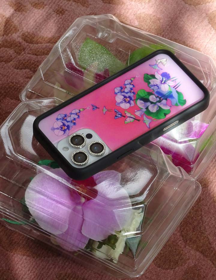 Butterfly Dreams iPhone Case