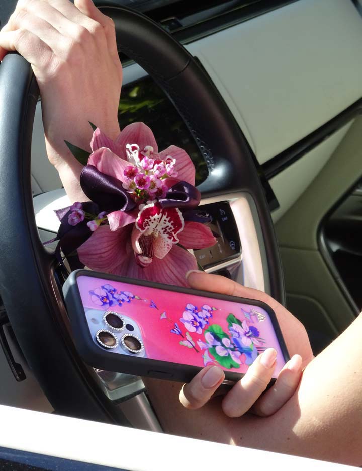 Butterfly Dreams iPhone Case