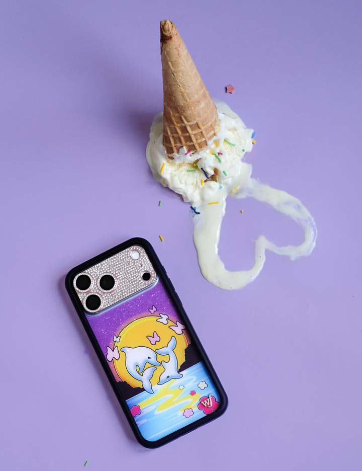 Dolphin Sunset iPhone Case