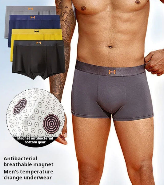 https://cdn.shopify.com/s/files/1/0729/6326/0722/files/9_c5426c02-e5db-4b2e-a9ed-fa7713dbf3be.jpg?v=1725522928