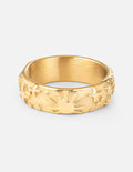 Anillo Celestial