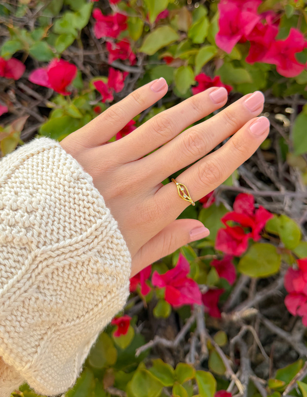 Anillo Edén
