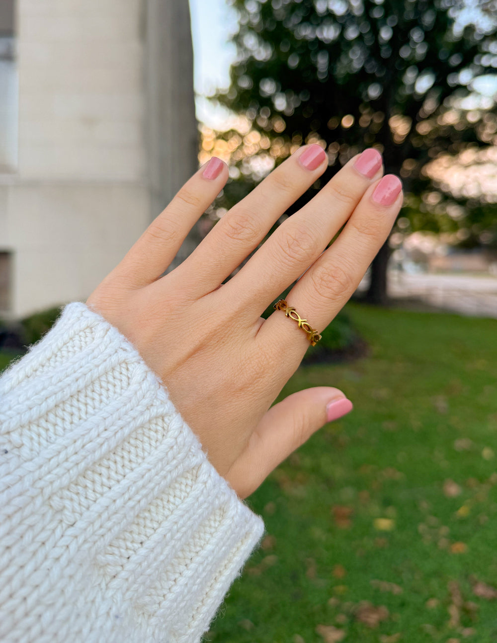 Anillo de Jesús Pez Infinito